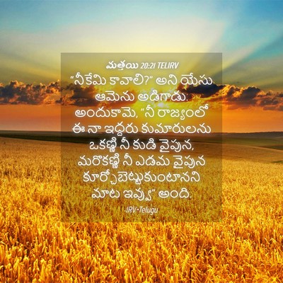Picture 04 - మత్తయి 20:21 TELIRV - “నీకేమి కావాలి?” - Bible Verse Picture