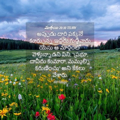 Picture 04 - మత్తయి 20:30 TELIRV - అప్పుడు దారి - Bible Verse Picture