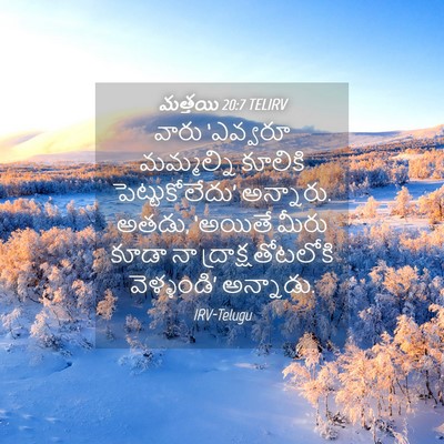 Picture 04 - మత్తయి 20:7 TELIRV - వారు ‘ఎవ్వరూ - Bible Verse Picture