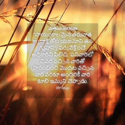 Picture 04 - మత్తయి 20:8 TELIRV - “సాయంకాలమైన - Bible Verse Picture