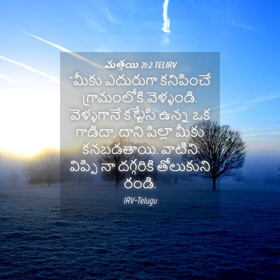 Picture 04 - మత్తయి 21:2 TELIRV - “మీకు ఎదురుగా - Bible Verse Picture