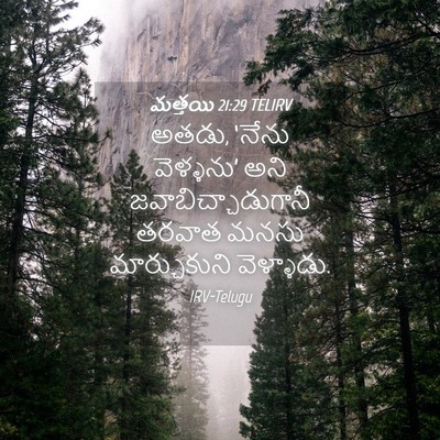 Picture 04 - మత్తయి 21:29 TELIRV - అతడు, ‘నేను - Bible Verse Picture