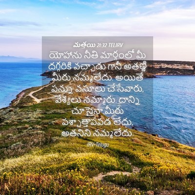 Picture 04 - మత్తయి 21:32 TELIRV - యోహాను నీతి - Bible Verse Picture