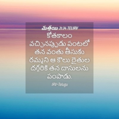 Picture 04 - మత్తయి 21:34 TELIRV - కోతకాలం - Bible Verse Picture