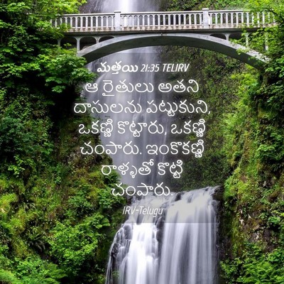 Picture 04 - మత్తయి 21:35 TELIRV - ఆ రైతులు అతని - Bible Verse Picture