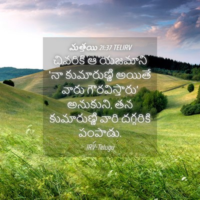 Picture 04 - మత్తయి 21:37 TELIRV - చివరికి ఆ యజమాని - Bible Verse Picture