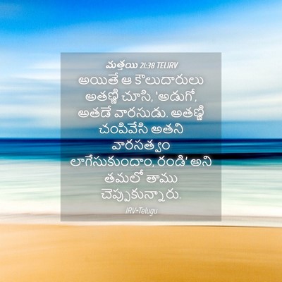 Picture 04 - మత్తయి 21:38 TELIRV - అయితే ఆ - Bible Verse Picture
