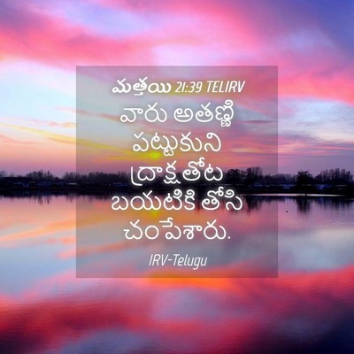 Picture 04 - మత్తయి 21:39 TELIRV - వారు అతణ్ణి - Bible Verse Picture