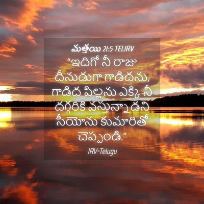 Picture 04 - మత్తయి 21:5 TELIRV - “ఇదిగో నీ రాజు - Bible Verse Picture