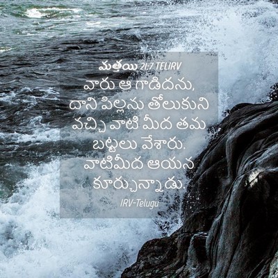 Picture 04 - మత్తయి 21:7 TELIRV - వారు ఆ గాడిదను, - Bible Verse Picture
