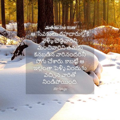 Picture 04 - మత్తయి 22:10 TELIRV - ఆ సేవకులు - Bible Verse Picture