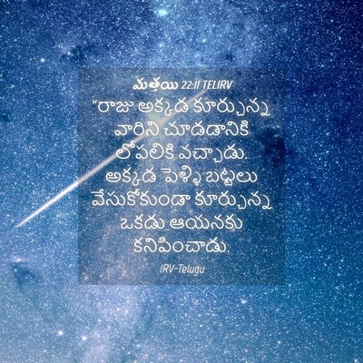 Picture 04 - మత్తయి 22:11 TELIRV - “రాజు అక్కడ - Bible Verse Picture