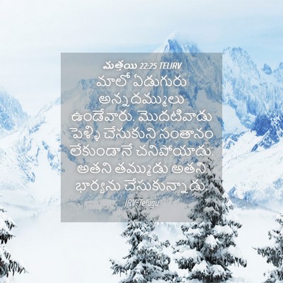 Picture 04 - మత్తయి 22:25 TELIRV - మాలో ఏడుగురు - Bible Verse Picture
