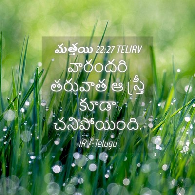 Picture 04 - మత్తయి 22:27 TELIRV - వారందరి తరువాత ఆ - Bible Verse Picture