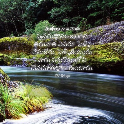Picture 04 - మత్తయి 22:30 TELIRV - పునరుత్థానం - Bible Verse Picture