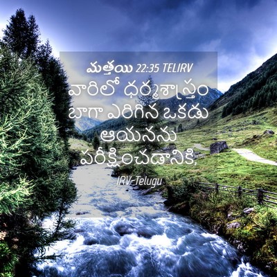 Picture 04 - మత్తయి 22:35 TELIRV - వారిలో - Bible Verse Picture