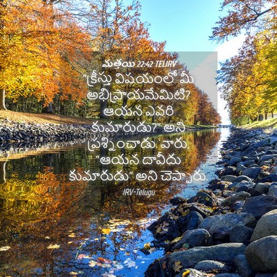 Picture 04 - మత్తయి 22:42 TELIRV - “క్రీస్తు విషయంలో - Bible Verse Picture