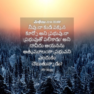 Picture 04 - మత్తయి 22:44 TELIRV - నీవు నా కుడి పక్కన - Bible Verse Picture