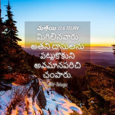 Picture 04 - మత్తయి 22:6 TELIRV - మిగిలినవారు అతని - Bible Verse Picture