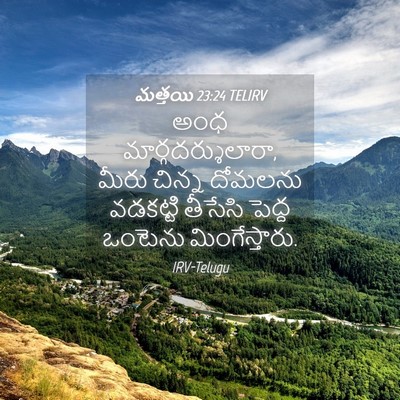 Picture 04 - మత్తయి 23:24 TELIRV - అంధ - Bible Verse Picture
