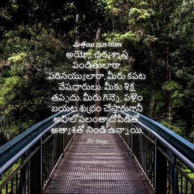 Picture 04 - మత్తయి 23:25 TELIRV - అయ్యో, - Bible Verse Picture