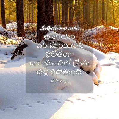 Picture 04 - మత్తయి 24:12 TELIRV - అన్యాయం - Bible Verse Picture