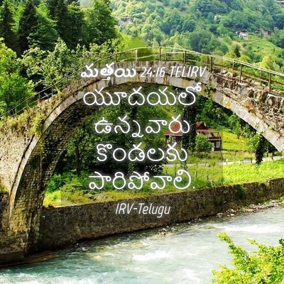 Picture 04 - మత్తయి 24:16 TELIRV - యూదయలో ఉన్నవారు - Bible Verse Picture