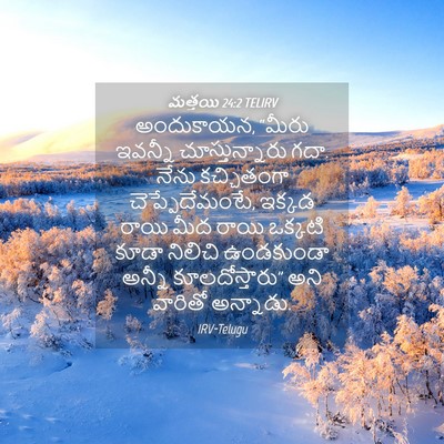 Picture 04 - మత్తయి 24:2 TELIRV - అందుకాయన, “మీరు - Bible Verse Picture