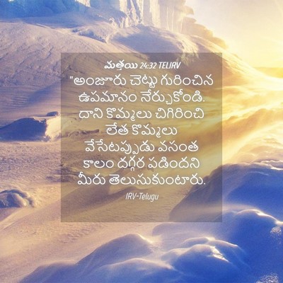 Picture 04 - మత్తయి 24:32 TELIRV - “అంజూరు చెట్టు - Bible Verse Picture