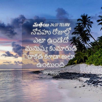 Picture 04 - మత్తయి 24:37 TELIRV - నోవహు రోజుల్లో - Bible Verse Picture