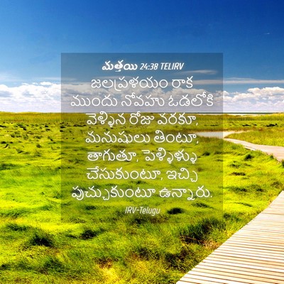 Picture 04 - మత్తయి 24:38 TELIRV - జలప్రళయం రాక - Bible Verse Picture