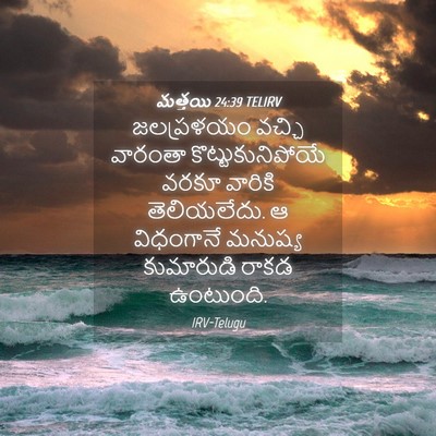 Picture 04 - మత్తయి 24:39 TELIRV - జలప్రళయం వచ్చి - Bible Verse Picture