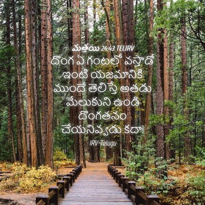 Picture 04 - మత్తయి 24:43 TELIRV - దొంగ ఏ గంటలో - Bible Verse Picture