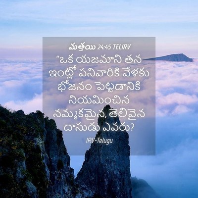 Picture 04 - మత్తయి 24:45 TELIRV - “ఒక యజమాని తన - Bible Verse Picture