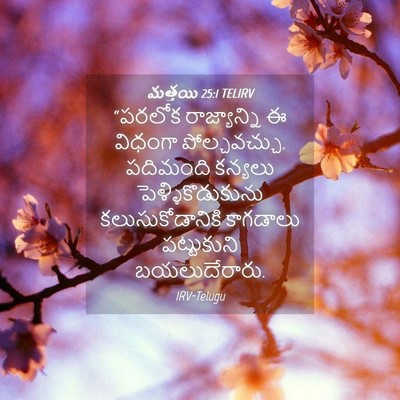 Picture 04 - మత్తయి 25:1 TELIRV - “పరలోక రాజ్యాన్ని - Bible Verse Picture