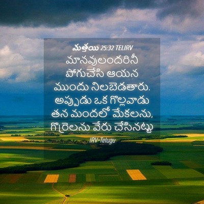 Picture 04 - మత్తయి 25:32 TELIRV - మానవులందరినీ - Bible Verse Picture