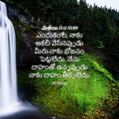 Picture 04 - మత్తయి 25:42 TELIRV - ఎందుకంటే, నాకు - Bible Verse Picture