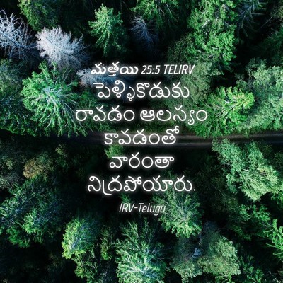 Picture 04 - మత్తయి 25:5 TELIRV - పెళ్ళికొడుకు - Bible Verse Picture