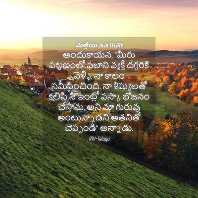 Picture 04 - మత్తయి 26:18 TELIRV - అందుకాయన, “మీరు - Bible Verse Picture