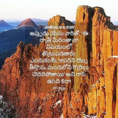 Picture 04 - మత్తయి 26:31 TELIRV - అప్పుడు యేసు - Bible Verse Picture