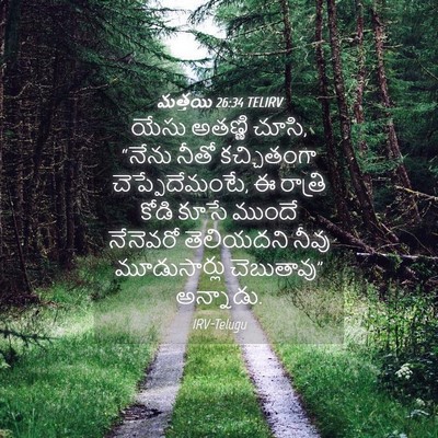 Picture 04 - మత్తయి 26:34 TELIRV - యేసు అతణ్ణి చూసి, - Bible Verse Picture