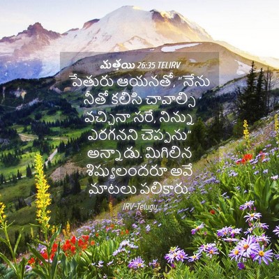 Picture 04 - మత్తయి 26:35 TELIRV - పేతురు ఆయనతో, - Bible Verse Picture