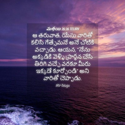 Picture 04 - మత్తయి 26:36 TELIRV - ఆ తరువాత, యేసు - Bible Verse Picture