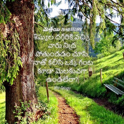 Picture 04 - మత్తయి 26:40 TELIRV - శిష్యుల దగ్గరికి - Bible Verse Picture