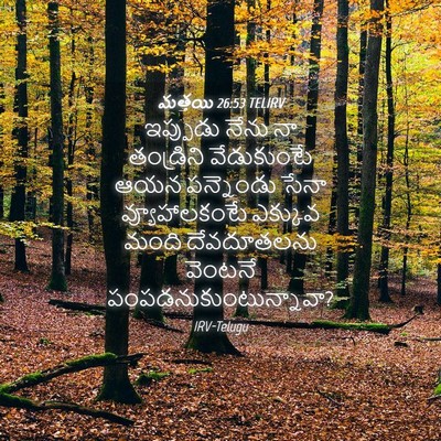 Picture 04 - మత్తయి 26:53 TELIRV - ఇప్పుడు నేను నా - Bible Verse Picture