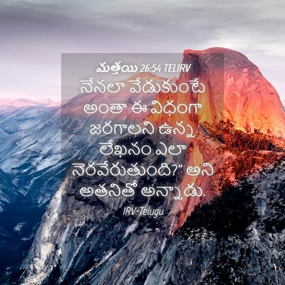 Picture 04 - మత్తయి 26:54 TELIRV - నేనలా వేడుకుంటే - Bible Verse Picture