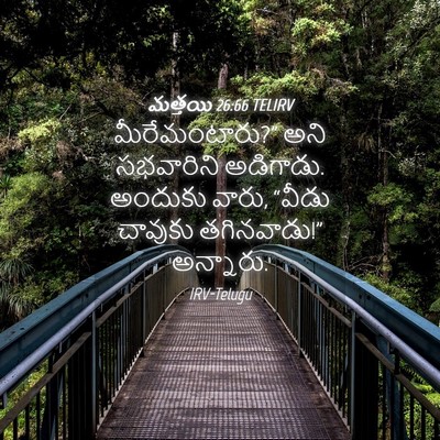 Picture 04 - మత్తయి 26:66 TELIRV - మీరేమంటారు?” అని - Bible Verse Picture