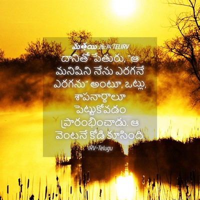 Picture 04 - మత్తయి 26:74 TELIRV - దానితో పేతురు, “ఆ - Bible Verse Picture