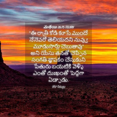 Picture 04 - మత్తయి 26:75 TELIRV - “ఈ రాత్రి కోడి - Bible Verse Picture