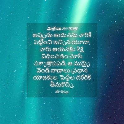 Picture 04 - మత్తయి 27:3 TELIRV - అప్పుడు ఆయనను - Bible Verse Picture